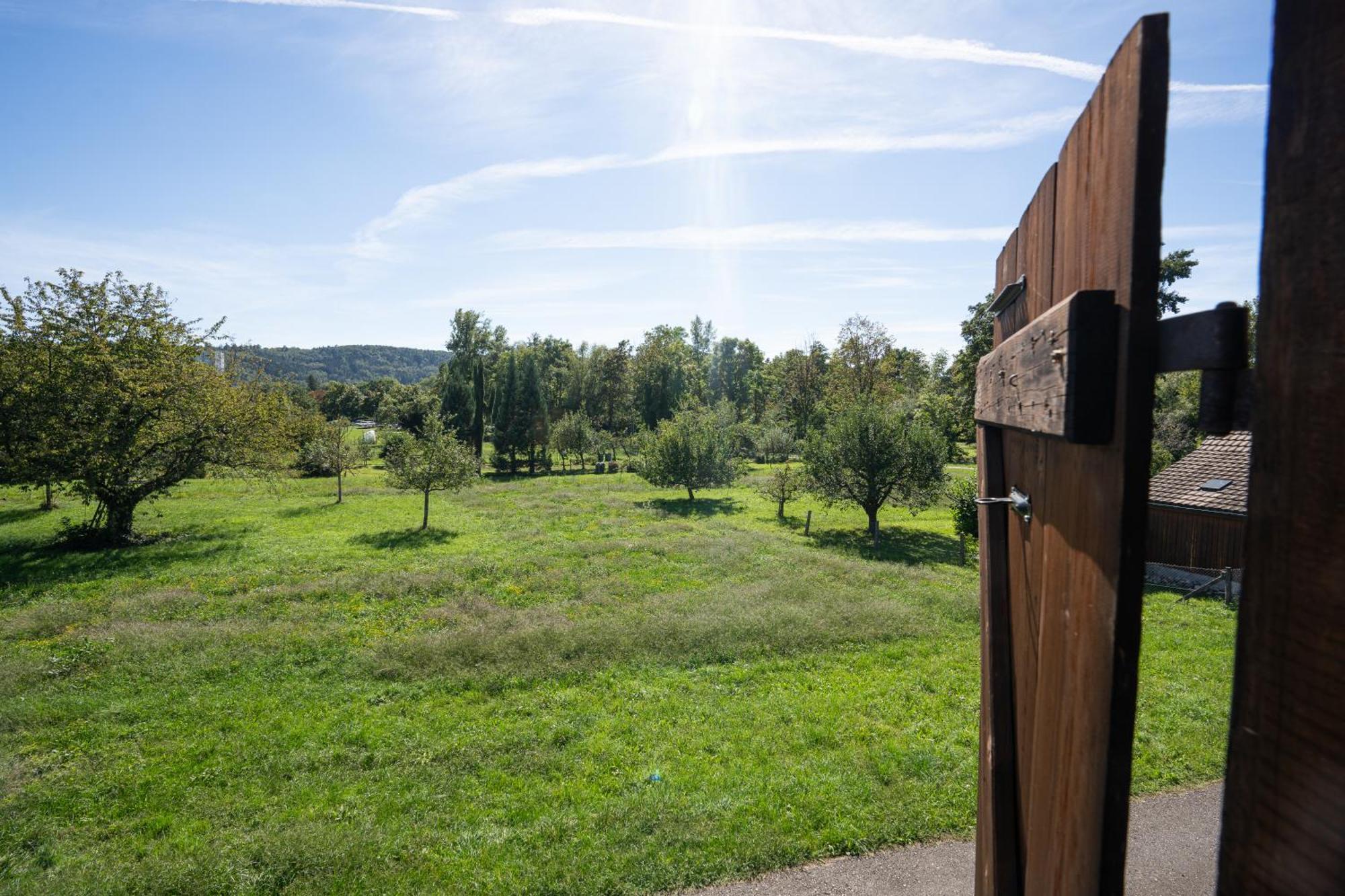 Tiny House Chez Claudine - Relaxen, Workspace, Naehe Thermen, Netflix, Free Parking & Wifi بروغ المظهر الخارجي الصورة